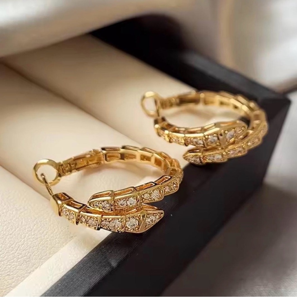 Luxury Snake earrings for women
